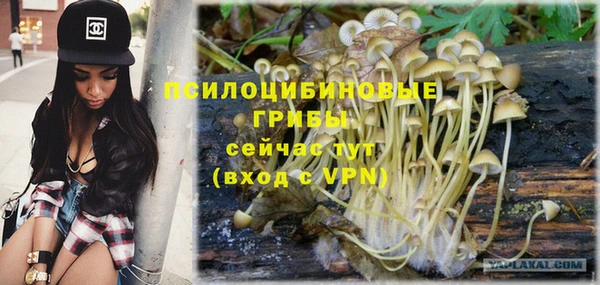 скорость Нея