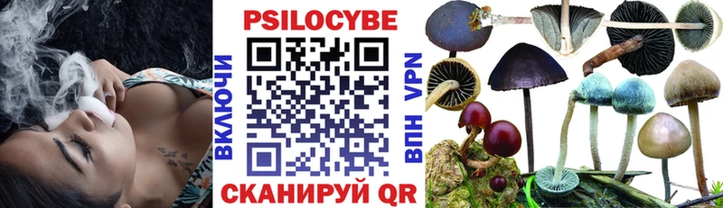 Галлюциногенные грибы Psilocybe  закладки  Юрга 